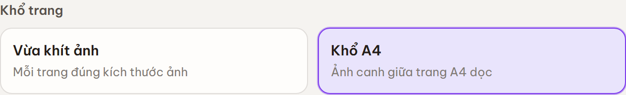 Mục Khổ trang với hai tuỳ chọn Vừa khít ảnh và Khổ A4.