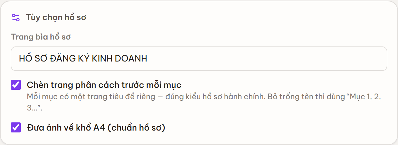 Khối Tùy chọn hồ sơ với ô nhập tiêu đề trang bìa, tùy chọn chèn trang phân cách trước mỗi mục và đưa ảnh về khổ A4