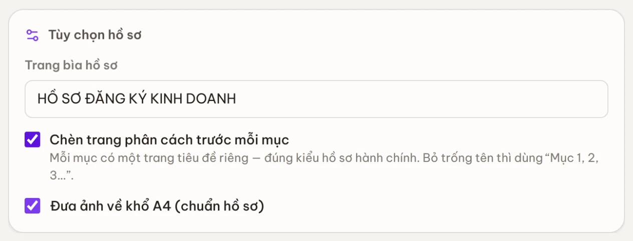 Khối Tuỳ chọn hồ sơ với ô nhập tiêu đề trang bìa, tuỳ chọn chèn trang phân cách và đưa ảnh về khổ A4