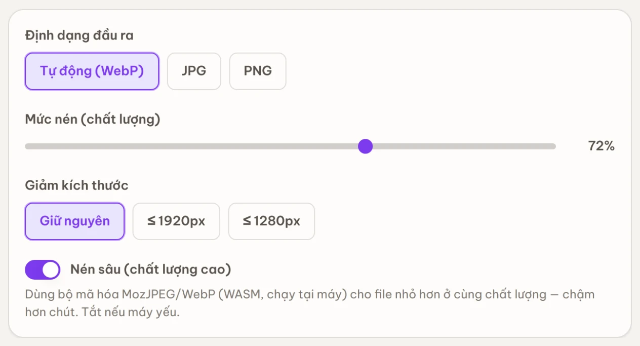 Bảng tuỳ chọn: Định dạng đầu ra, thanh Mức nén, Giảm kích thước và công tắc Nén sâu